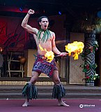 2010 Annual Conference - Orlando